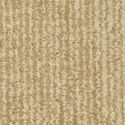 Dixie Home Carpet Seagate G5267 50153