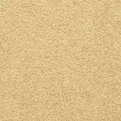 Dixie Home Carpet Cassina G5269 20201