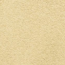 Dixie Home Carpet Cassina G5269 20209