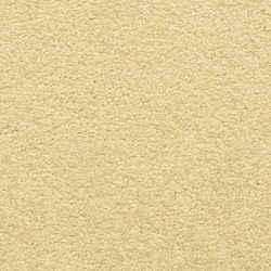 Dixie Home Carpet Cassina G5269 20224