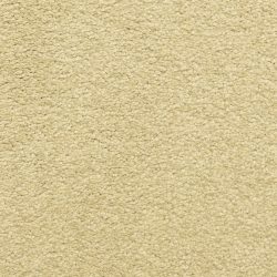 Dixie Home Carpet Cassina G5269 20227