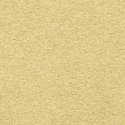 Dixie Home Carpet Cassina G5269 20234