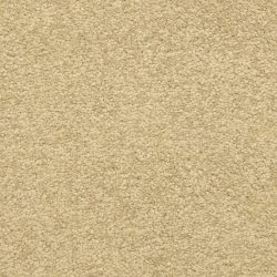 Dixie Home Carpet Cassina G5269 20253