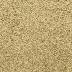 Dixie Home Carpet Cassina G5269 30210