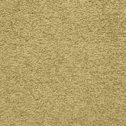 Dixie Home Carpet Cassina G5269 30219