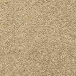 Dixie Home Carpet Cassina G5269 30254