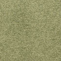 Dixie Home Carpet Cassina G5269 50242