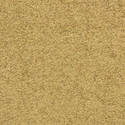Dixie Home Carpet Cassina G5269 70228