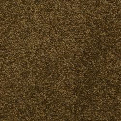 Dixie Home Carpet Cassina G5269 70231