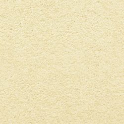 Dixie Home Carpet Cortana G5270 20229