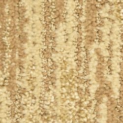 Dixie Home Carpet Envy G5271 22310