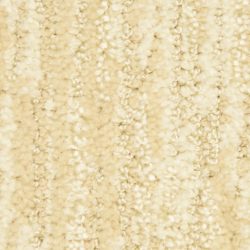 Dixie Home Carpet Envy G5271 22311
