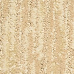 Dixie Home Carpet Envy G5271 22337