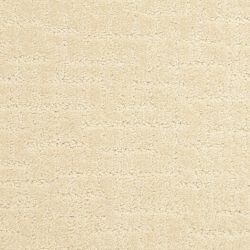 Dixie Home Carpet Amazing G5274 12918