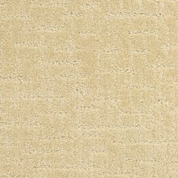 Dixie Home Carpet Amazing G5274 23121