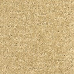 Dixie Home Carpet Amazing G5274 25320