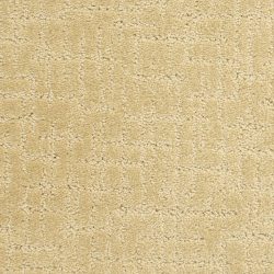 Dixie Home Carpet Amazing G5274 25423