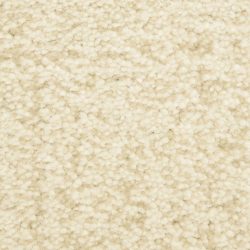 Dixie Home Carpet Mystique G5276 12251