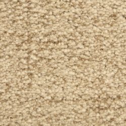 Dixie Home Carpet Mystique G5276 35332