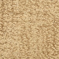 Dixie Home Carpet Mystique G5276 36369