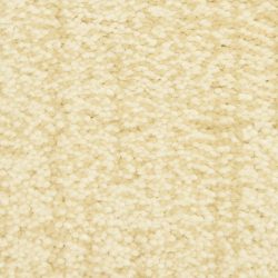 Dixie Home Carpet Mystique G5276 42244