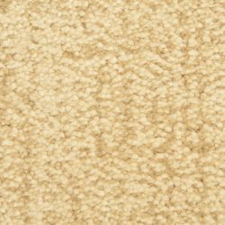 Dixie Home Carpet Mystique G5276 44289