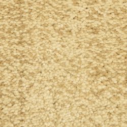 Dixie Home Carpet Mystique G5276 45324