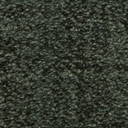 Dixie Home Carpet Mystique G5276 59395