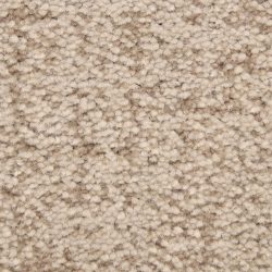 Dixie Home Carpet Mystique G5276 84262