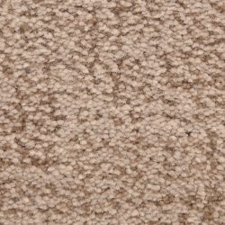 Dixie Home Carpet Mystique G5276 85306