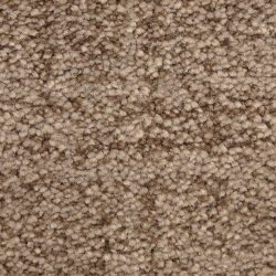 Dixie Home Carpet Mystique G5276 87343
