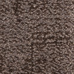 Dixie Home Carpet Mystique G5276 88388
