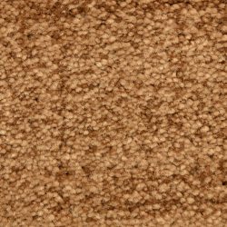 Dixie Home Carpet Mystique G5276 98409