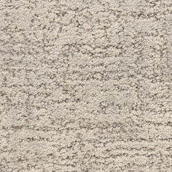 Dixie Home Carpet Crossline G5279 84266