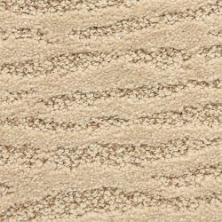Dixie Home Carpet Costa G5280 24264