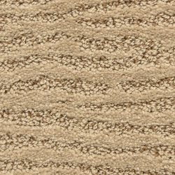Dixie Home Carpet Costa G5280 34265