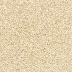 Dixie Home Carpet Spirit G5281 11004