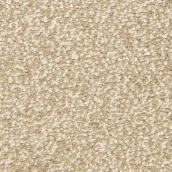 Dixie Home Carpet Spirit G5281 75008