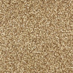 Dixie Home Carpet Spirit G5281 77006