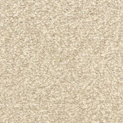 Dixie Home Carpet Spirit G5281 84010