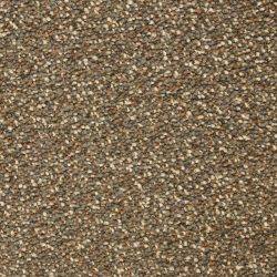 Dixie Home Carpet Spirit G5281 89009