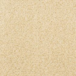 Dixie Home Carpet Gusto G5282 12001