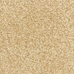 Dixie Home Carpet Gusto G5282 23002