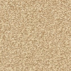 Dixie Home Carpet Gusto G5282 24003
