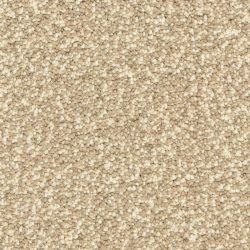 Dixie Home Carpet Gusto G5282 74005