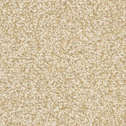 Dixie Home Carpet Gusto G5282 82007