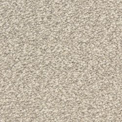 Dixie Home Carpet Gusto G5282 88012