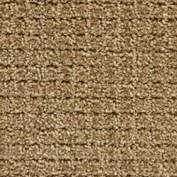 Dixie Home Carpet Arena G5285 29407
