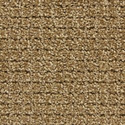 Dixie Home Carpet Arena G5285 29422