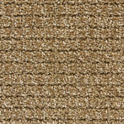 Dixie Home Carpet Arena G5285 29425
